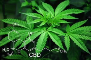 propriétés thérapeutiques du cannabis